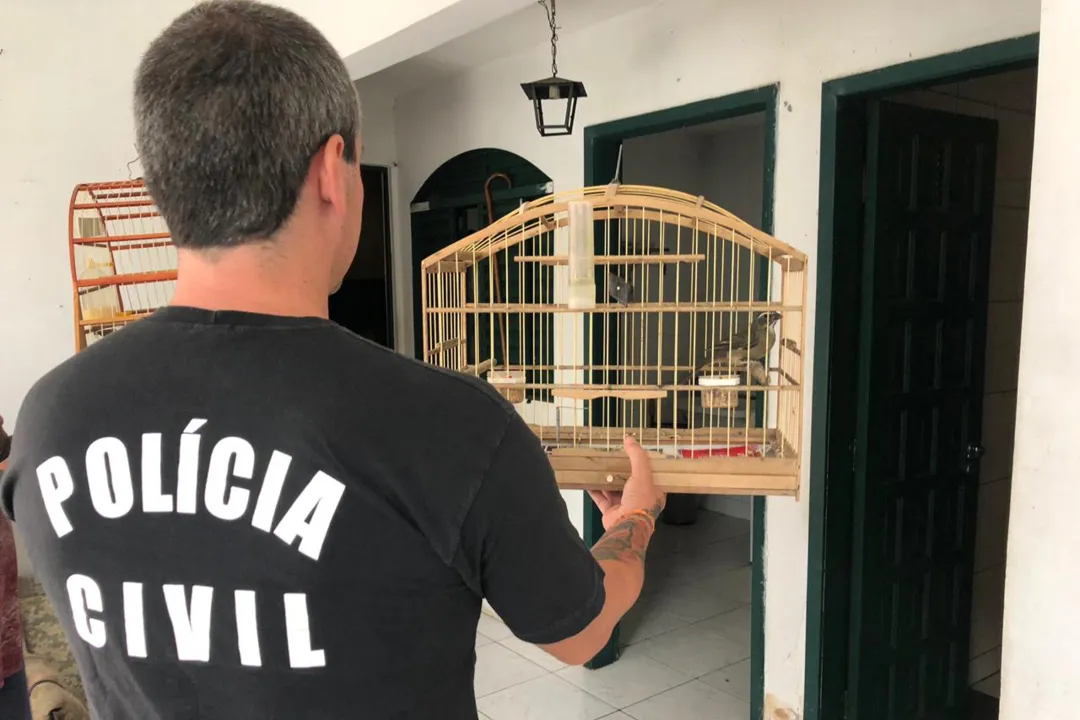Polícia Civil apreende 250 animais silvestres em Curitiba e região
