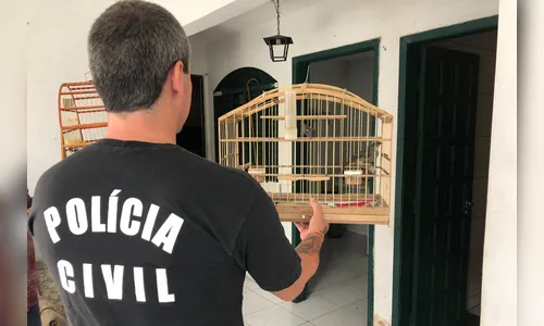 Polícia Civil apreende 250 animais silvestres em Curitiba e região