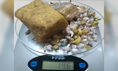 Mulher é presa por assumir tráfico de drogas após prisão do marido em Mauá da Serra