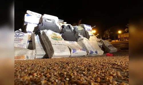 Polícia Federal apreende quase 3 toneladas de maconha na BR-376