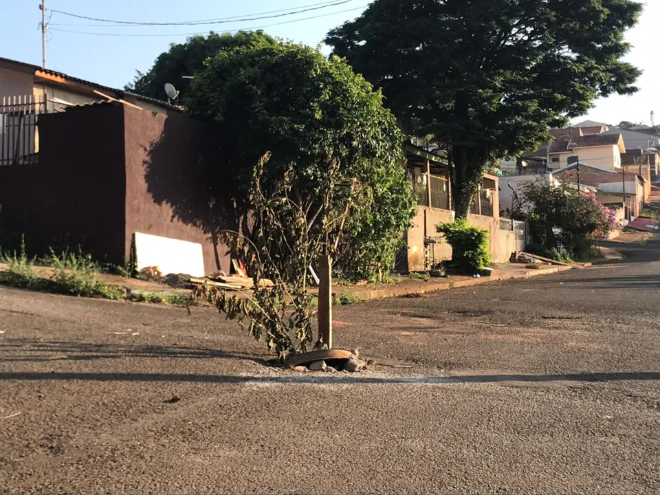 Moradores usam galhos de árvore para sinalizar buraco no meio da rua. Foto: Reprodução/WhatsApp