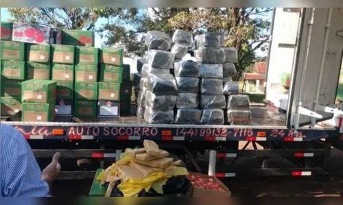 PRE apreende quase uma tonelada de maconha 