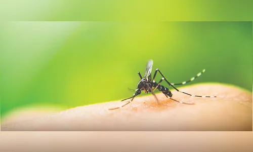 Paraná segue em alerta contra a dengue