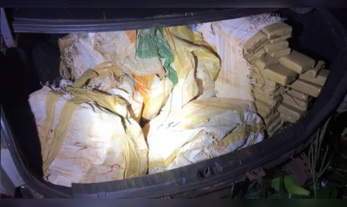PRE apreende 173 Kg de maconha na PR-323
