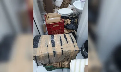 Polícia apreende 380 kg de maconha em Mandaguaçu 