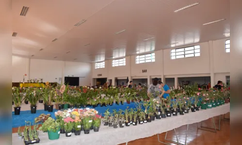 
							  Festa das Flores termina neste sábado em Jardim Alegre
						
						