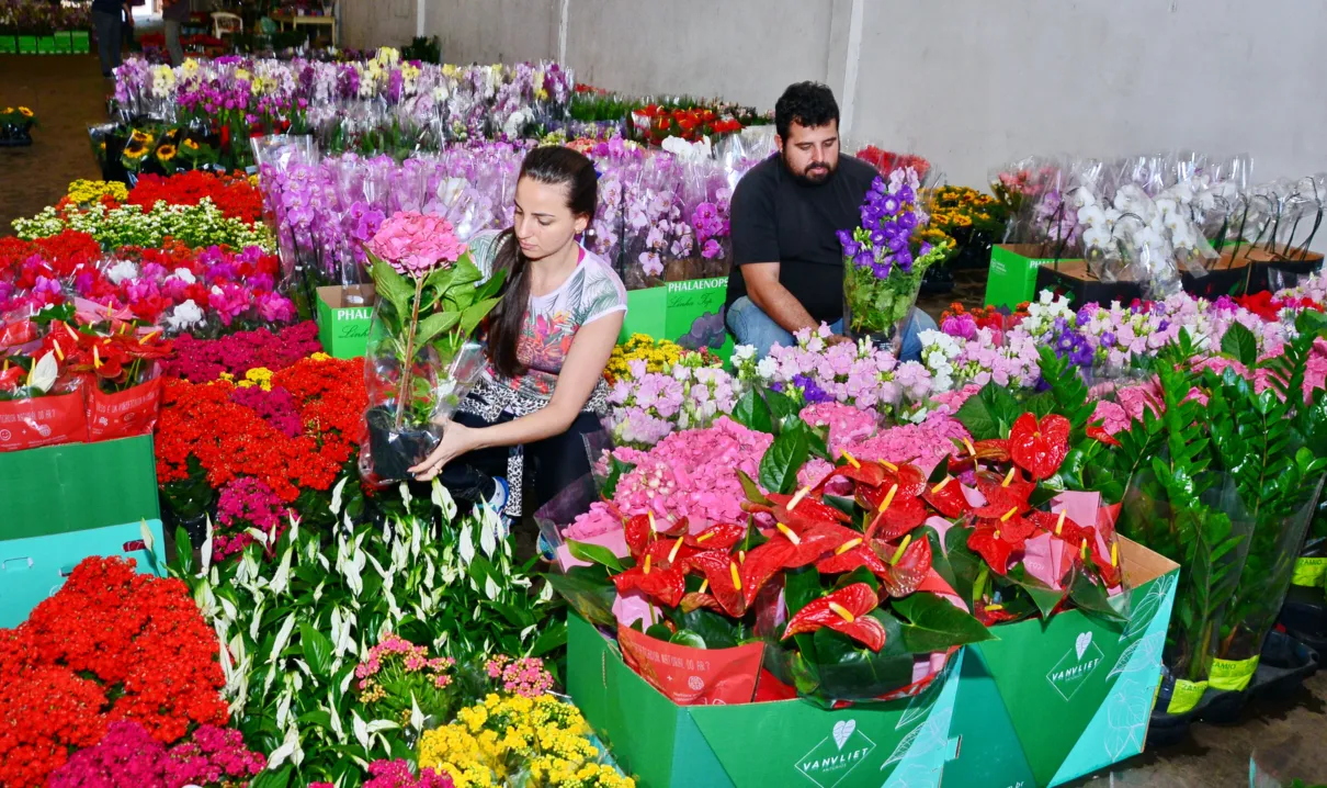 Dia das mães impulsiona produção de flores na região