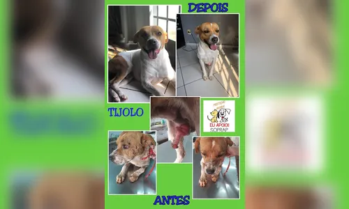 AJUDE A SOPRAP A AJUDAR