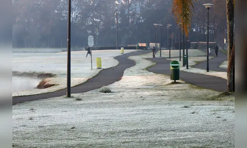 Simepar e Iapar iniciam edição 2019 do Alerta Geada