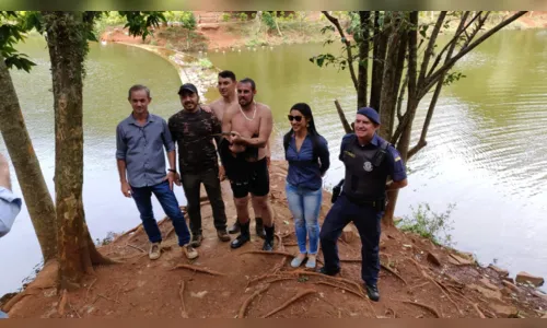 
							GM resgata ave com material de pesca preso no bico
						
						