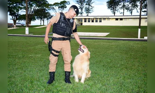 Primeiro cachorro do canil da PM de Apucarana se aposenta
