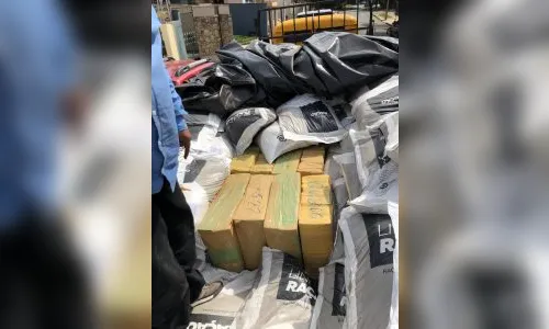 Denarc de Maringá apreende mais de 800 kg de maconha 