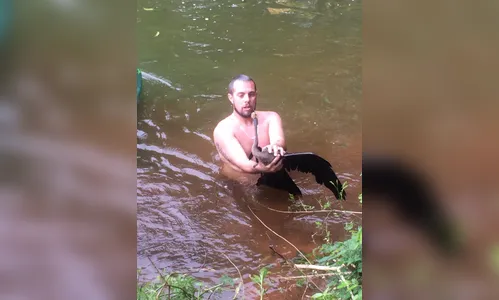 GM resgata ave com material de pesca preso no bico