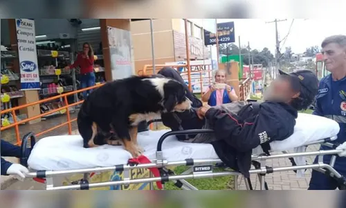 Cães invadem ambulância para acompanhar dono que passou mal