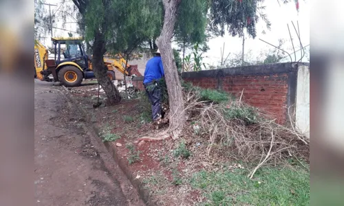 
							Prefeitura leva serviços do Ivaiporã em Ação ao Jardim Itaipu
						
						