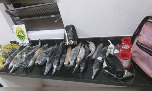 PM apreende maconha e celulares que seriam entregues aos presos