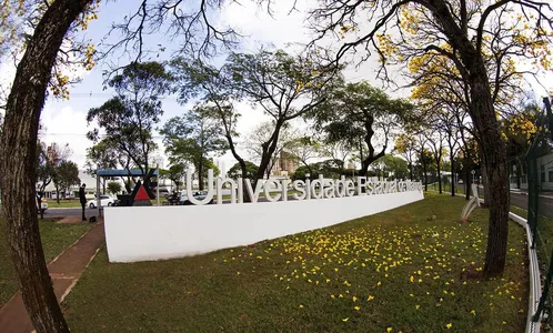 UEM abre processo seletivo para contratação de profissionais 