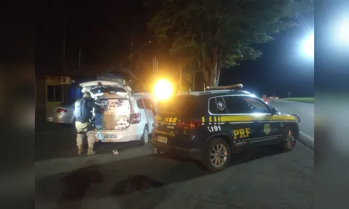 PRF apreende cerca de 20 mil carteiras de cigarro na região oeste do Paraná