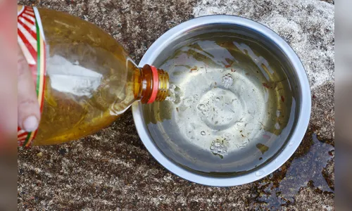 Paraná ultrapassa 5 mil casos de dengue confirmados