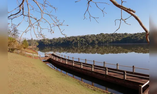 Apucarana vai repovoar rios e lagos com 400 mil alevinos