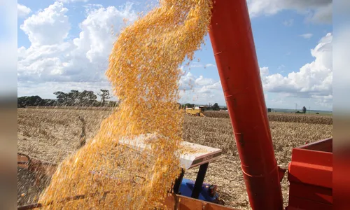 Safra de grãos do Paraná poderá chegar a 37 milhões de toneladas