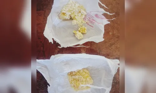 Adolescente é apreendido com aproximadamente 52 pedras de crack em Apucarana