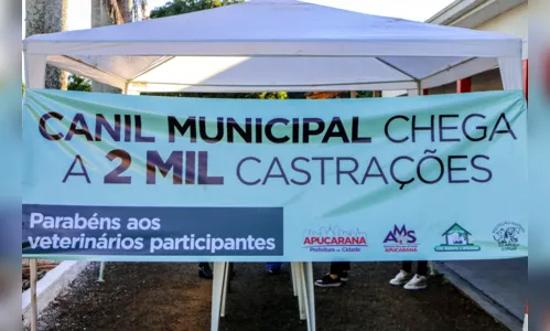 
							Canil Municipal chega a 2 mil castrações
						
						