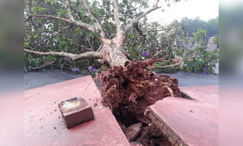 Chuva provoca estragos em Rolândia, cerca de 13 mil imóveis ficaram sem energia 