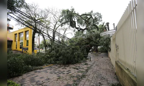 Vendavais e granizo afetam mais de oito mil pessoas no Estado