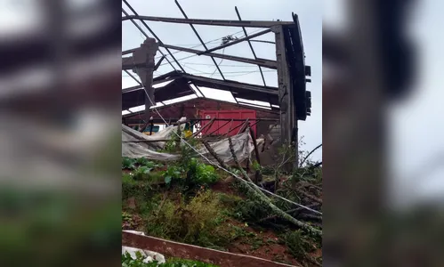Formação de uma espécie de 'tornado' assusta moradores da região de Guarapuava; veja o vídeo