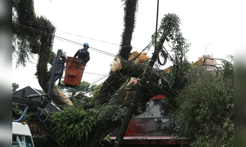Defesa Civil diz que 23 mil já foram atingidos por temporal