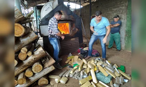 Mais de 100 kg de drogas são incinerados pela Polícia Civil 