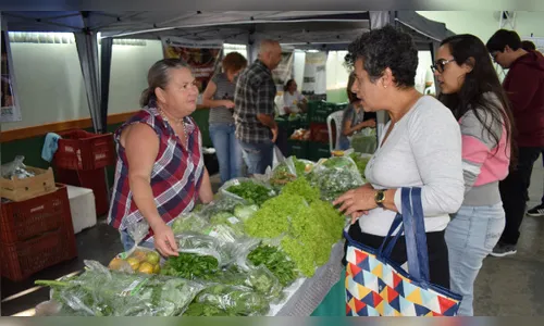   Orgânicos ganham força no Vale do Ivaí