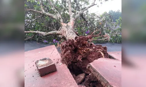 Chuva atinge 29 mil pessoas no Paraná 