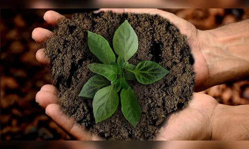 Ações de conscientização celebram Dia Mundial do Meio Ambiente