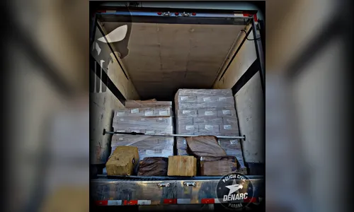 Denarc apreende mais de uma tonelada de maconha na região de Rolândia