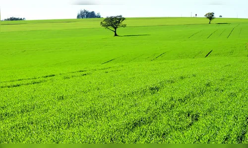 Município da região implanta 