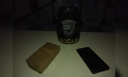 PM apreende quase 500 gramas de maconha