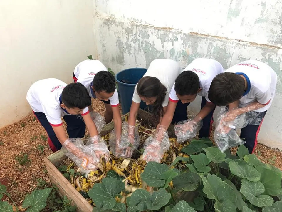 Alunos aprendem compostagem  nas escolas de Apucarana