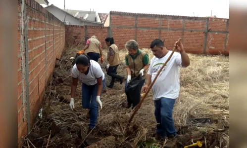 
							Infestação de caramujos africanos preocupa São Pedro do Ivaí
						
						