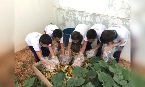 Alunos aprendem compostagem  nas escolas de Apucarana