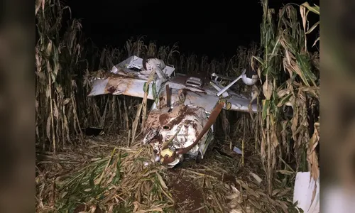 Avião cai em milharal em Cascavel