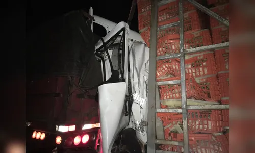 Motorista de caminhão morre após se envolver em acidente na BR-376