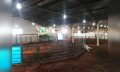 Apucarana sedia etapa final do Campeonato Paranaense de Ranch Sorting