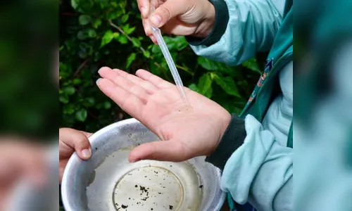 Sessenta e nove pessoas já morreram por dengue no Paraná