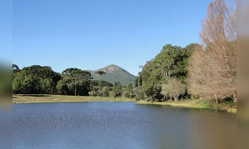 Rota do Pinhão oferece diversidade de atrações turísticas