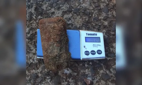 
							PM encontra maconha em um terreno no Jardim Trabalhista 
						
						