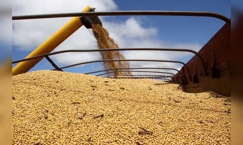 Quebra da safra afeta o PIB do Paraná no primeiro trimestre