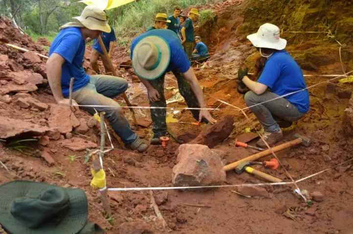 Descoberta comprova que dinossauros habitaram a região Noroeste do Paraná (Foto: Universidade do Contestado)