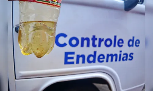 Boletim confirma 86 novos casos de dengue no Paraná